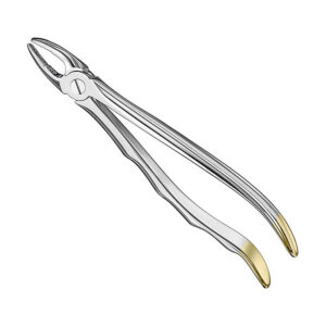 Extracting forceps, anat.