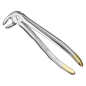 Extracting forceps, anat.
