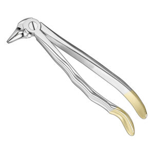 Extracting forceps, anat.