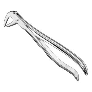 Extracting forceps, anat.
