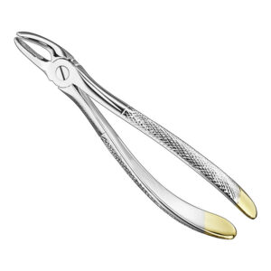 Extracting forceps, engl.