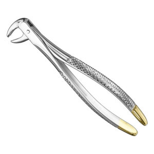 Extracting forceps, engl.